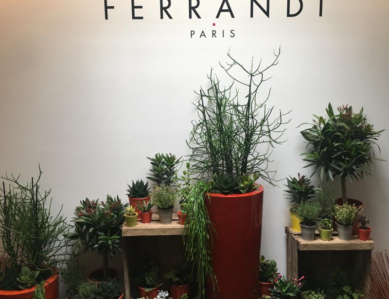 FERRANDI Paris 首次落地北京